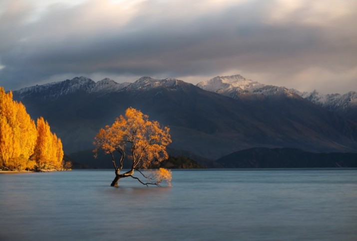 wanaka gallery 9